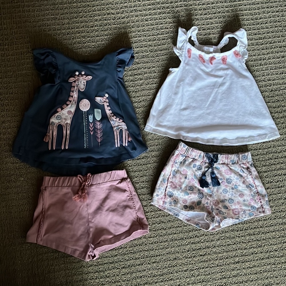 Dylan & Abby  4 piece toddler girl blue and pink giraffe set- 24 months